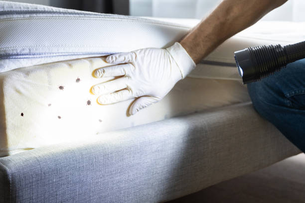 Best Pest Prevention Services  in Nashotah, WI