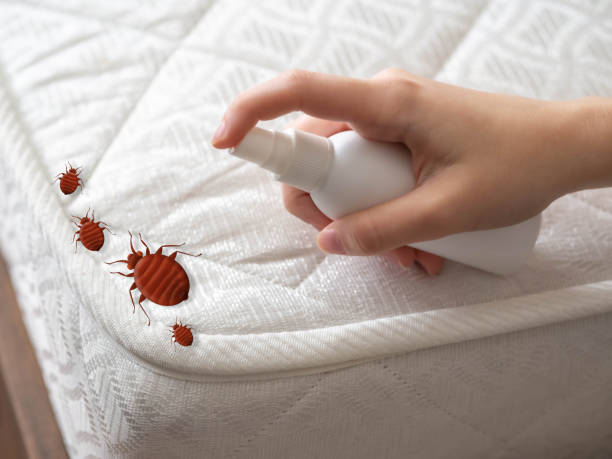 Best Local Pest Control Services  in Nashotah, WI